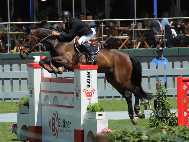 才是职业运 才是职业运