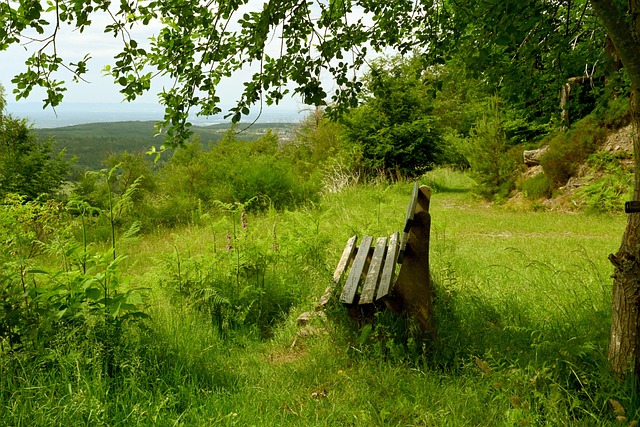 全措施至关 全措施至关