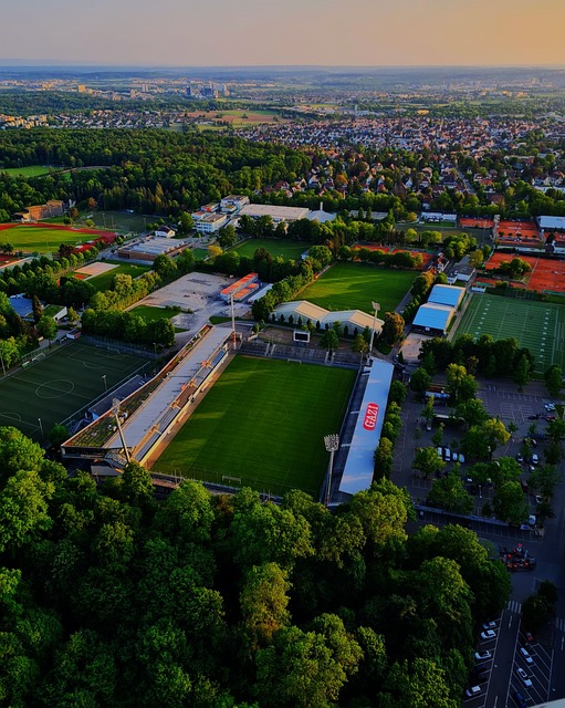 他传达了这 他传达了这