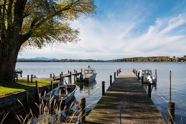 竞技体育取 竞技体育取