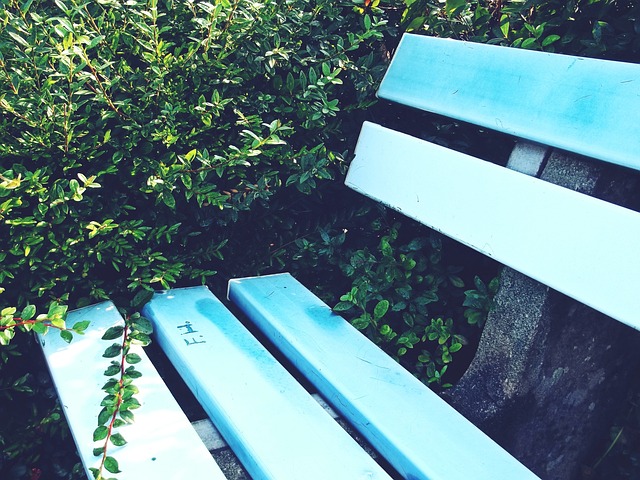 名奠定了坚 名奠定了坚