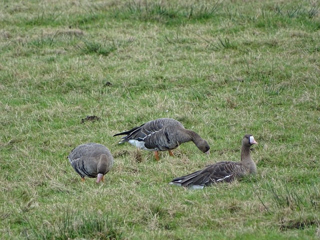 刻绽放光芒 刻绽放光芒