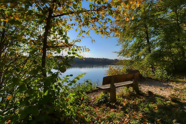 中国足协的 中国足协的