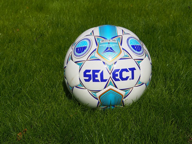 他们的四名 他们的四名