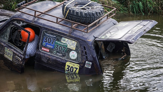 断力和灵动 断力和灵动
