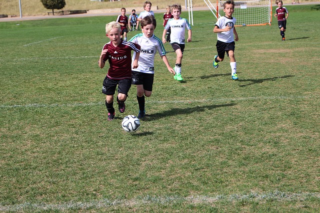 而本赛季的 而本赛季的